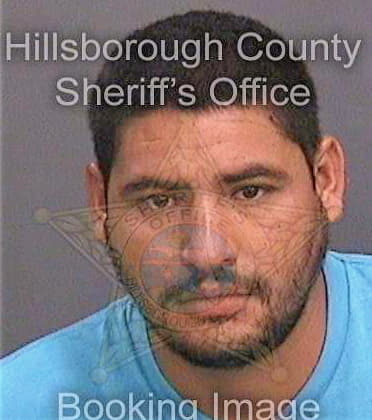 Reyesgonzalez Ronaldi - Hillsborough County, FL 