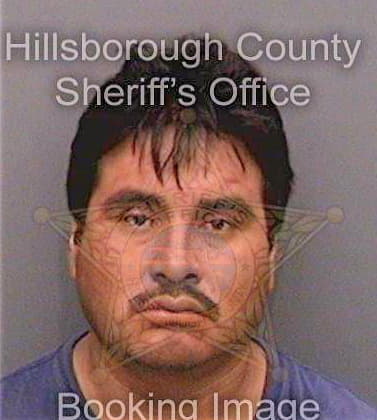 Martin Jose - Hillsborough County, FL 