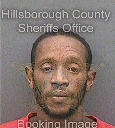 Bradley Robert - Hillsborough County, FL 