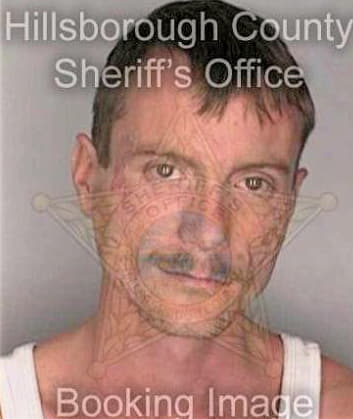 Mcfarland Andrew - Hillsborough County, FL 