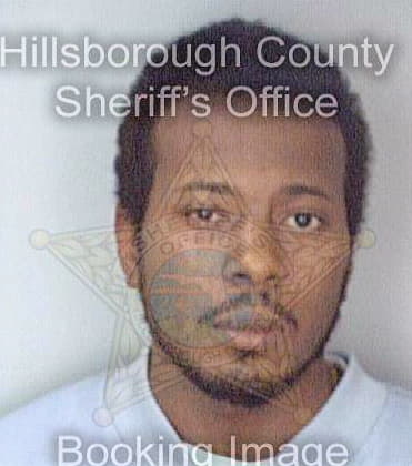 Sledge Rubin - Hillsborough County, FL 