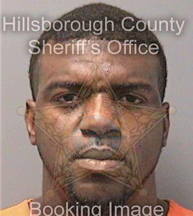 Johnson Terrance - Hillsborough County, FL 