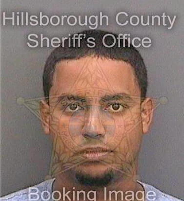 Mercedescabrera Hector - Hillsborough County, FL 
