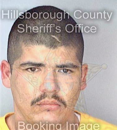 Reyes Juan - Hillsborough County, FL 