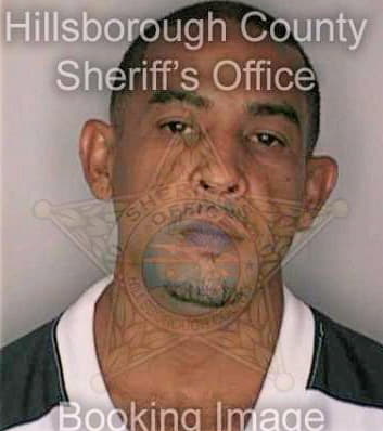 Vargas Jose - Hillsborough County, FL 