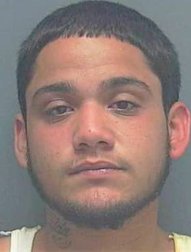 Birriel Darvin - Lee County, FL 