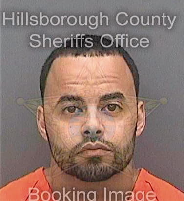 Perez Gabriel - Hillsborough County, FL 