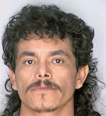 Mendez Raul - Hillsborough County, FL 