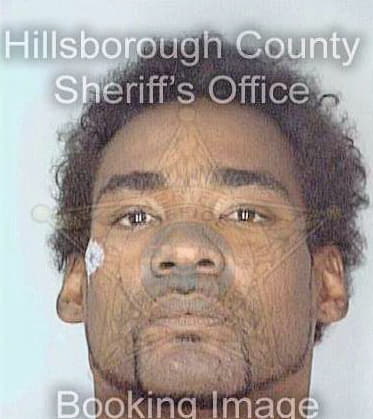 Telfair Terry - Hillsborough County, FL 