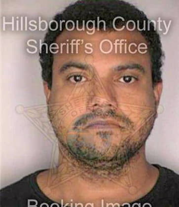 Carrol Aaron - Hillsborough County, FL 