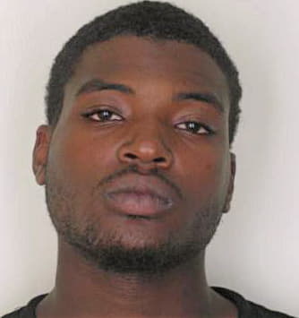 Bowie Damian - Hillsborough County, FL 