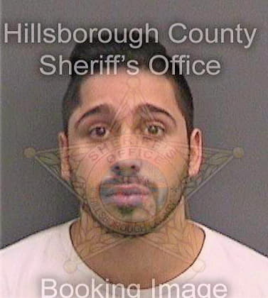 Gonzalez Jesus - Hillsborough County, FL 