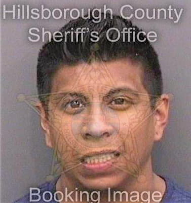 Trevino Aldo - Hillsborough County, FL 