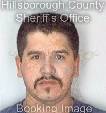 Reyesgutierrez Vicente - Hillsborough County, FL 