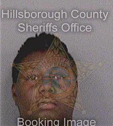 Robinson Trina - Hillsborough County, FL 