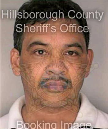 Zschozhe Harland - Hillsborough County, FL 