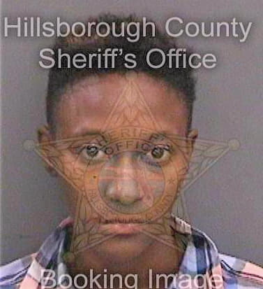 Shynett Kimara - Hillsborough County, FL 