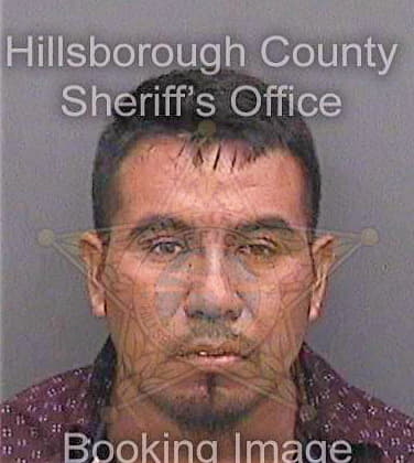 Lopezvelazquez Tony - Hillsborough County, FL 