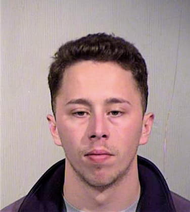 Mcelroy Allen - Maricopa County, AZ 