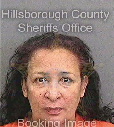 Dejesus Arleen - Hillsborough County, FL 