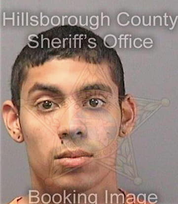 Garcia Louis - Hillsborough County, FL 