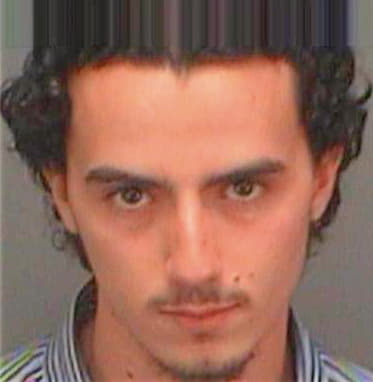 Hamdan Alaa - Pinellas County, FL 