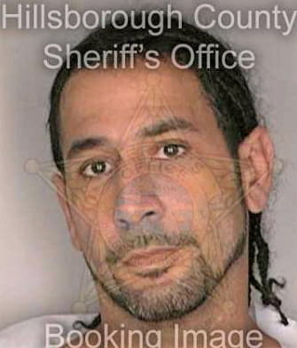 Mccoy William - Hillsborough County, FL 