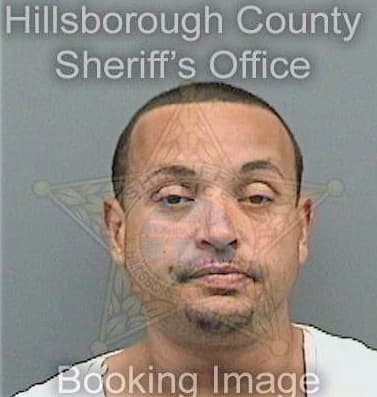 Maldonado Juan - Hillsborough County, FL 