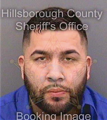 Lucas Feliciano - Hillsborough County, FL 