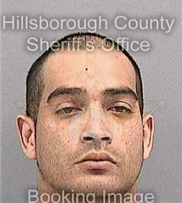 Pinto Joshua - Hillsborough County, FL 