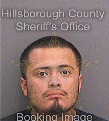 Mendez Omar - Hillsborough County, FL 