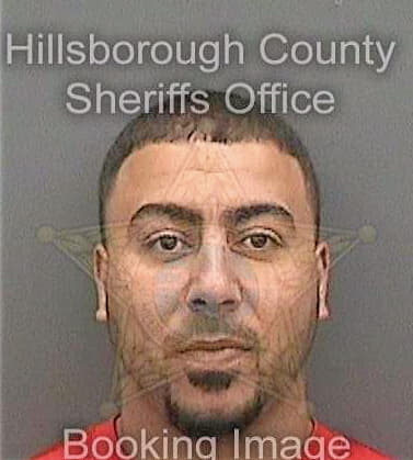 Nassar Ahed - Hillsborough County, FL 