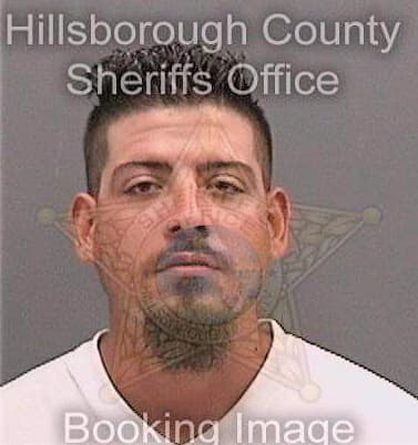 Torres Jose - Hillsborough County, FL 