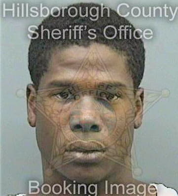 Irvin David - Hillsborough County, FL 