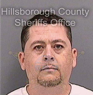 Morris Brian - Hillsborough County, FL 