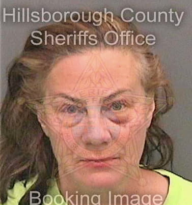Boehmer Lisa - Hillsborough County, FL 
