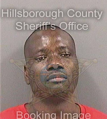 Michel Jean - Hillsborough County, FL 