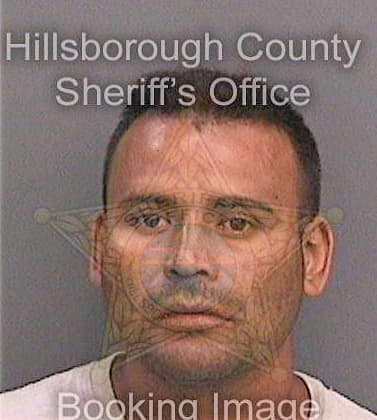 Dubonmendez Enrique - Hillsborough County, FL 