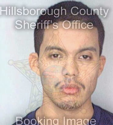 Gonzalez Andres - Hillsborough County, FL 