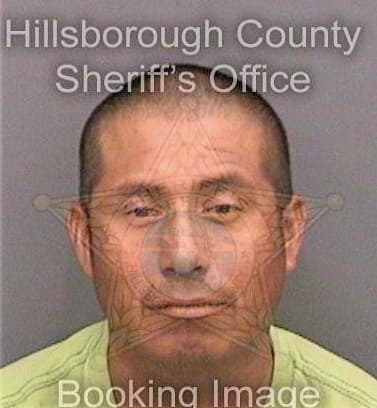 Hernandezmendez Benito - Hillsborough County, FL 