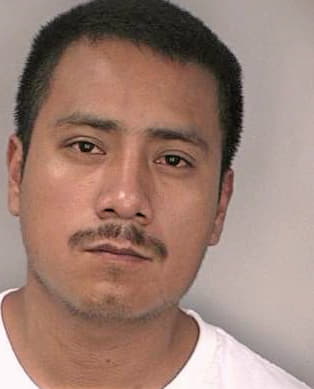 Miguelflores Irving - Hillsborough County, FL 