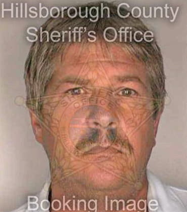 Medvic Robert - Hillsborough County, FL 