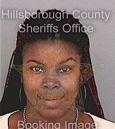 Lewis Britney - Hillsborough County, FL 