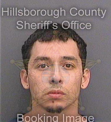 Galvan Eric - Hillsborough County, FL 