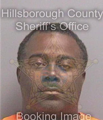 Black David - Hillsborough County, FL 