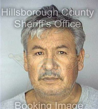 Flores Raymundo - Hillsborough County, FL 