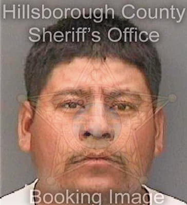 Ventura Marcos - Hillsborough County, FL 