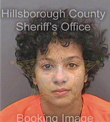 Hunt Michela - Hillsborough County, FL 