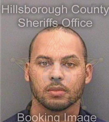 Barnett Dennis - Hillsborough County, FL 