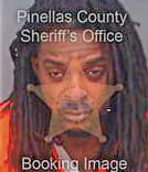 Mclin Dennis - Pinellas County, FL 